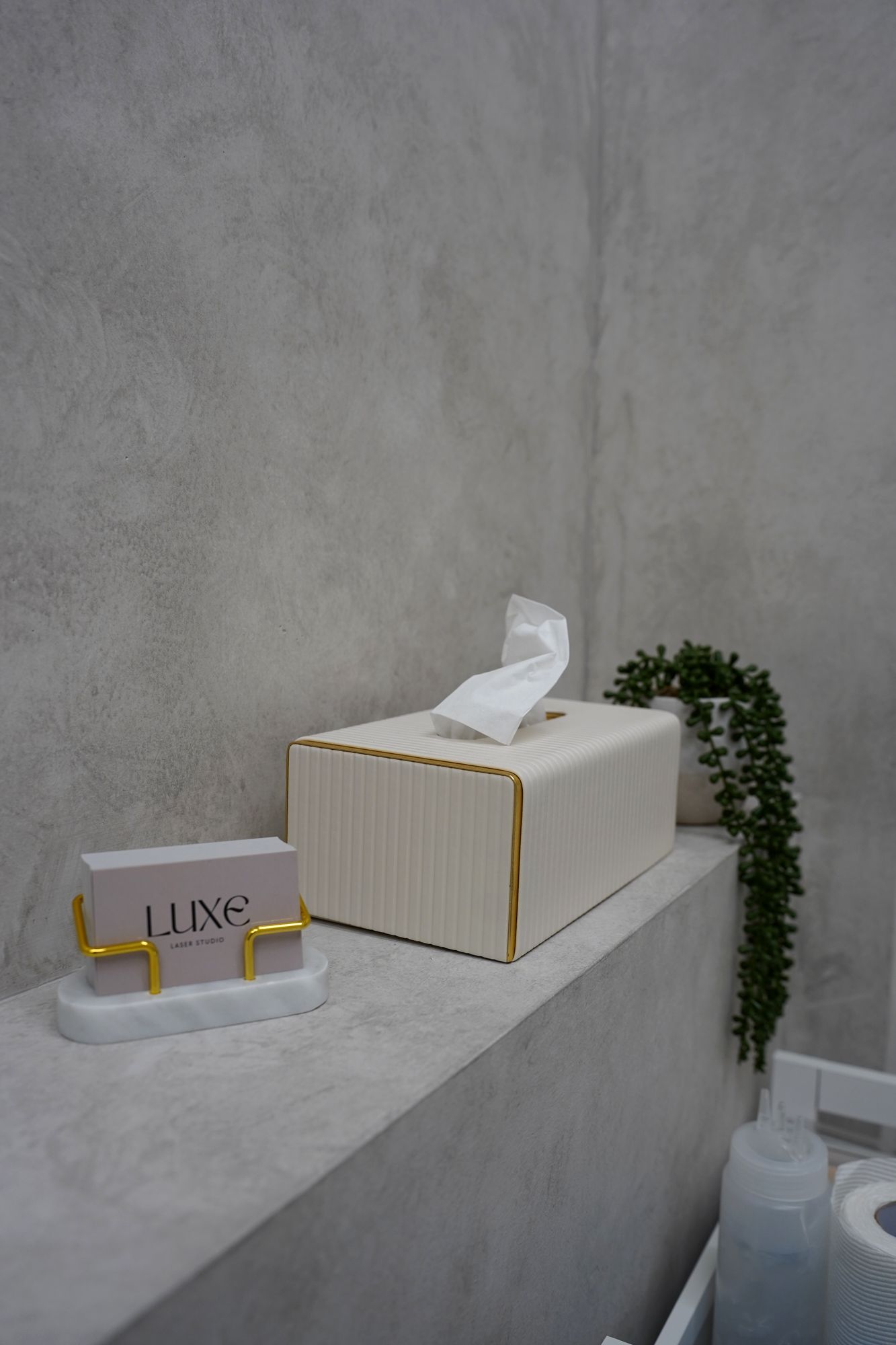 Luxe business cards and tissue box on the studio bench